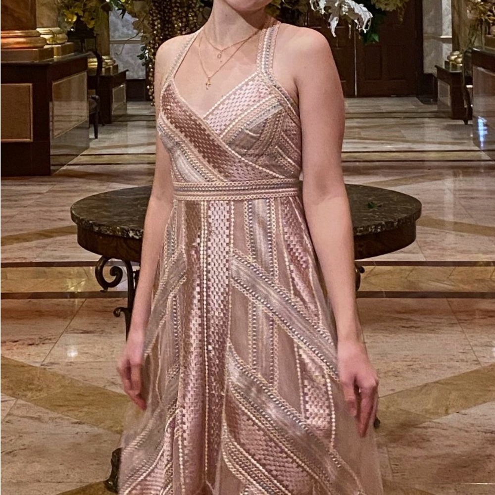 BCBGMaxAzria Blush Pink A-Line Midi Dress